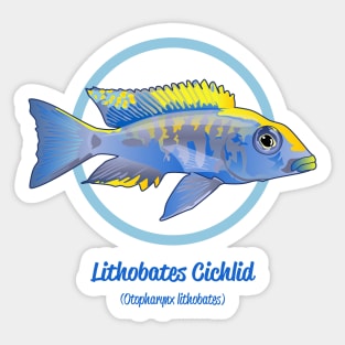 Lithobates Cichlid Sticker